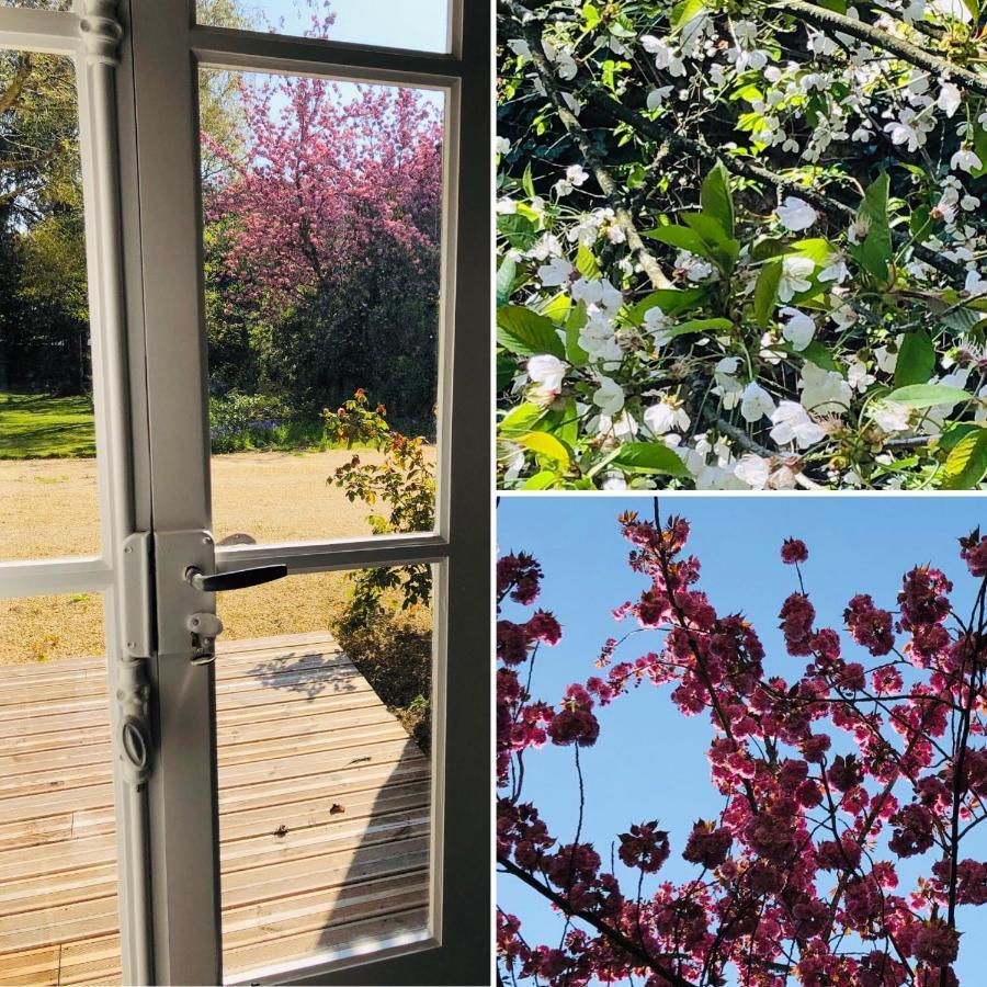 绍莱 Au Rez De Jardin酒店 外观 照片